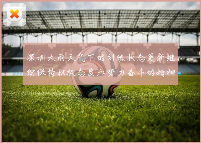 深圳大雨天气下的训练状态更新继续保持积极态度和努力奋斗的精神