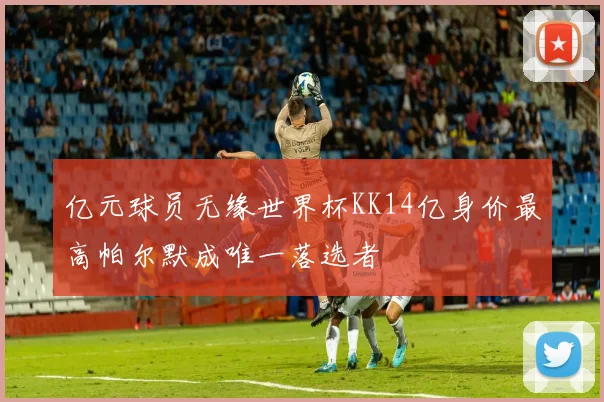 亿元球员无缘世界杯KK14亿身价最高帕尔默成唯一落选者